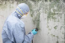 Mold Remediation for Vacation Homes in Harrison, NJ